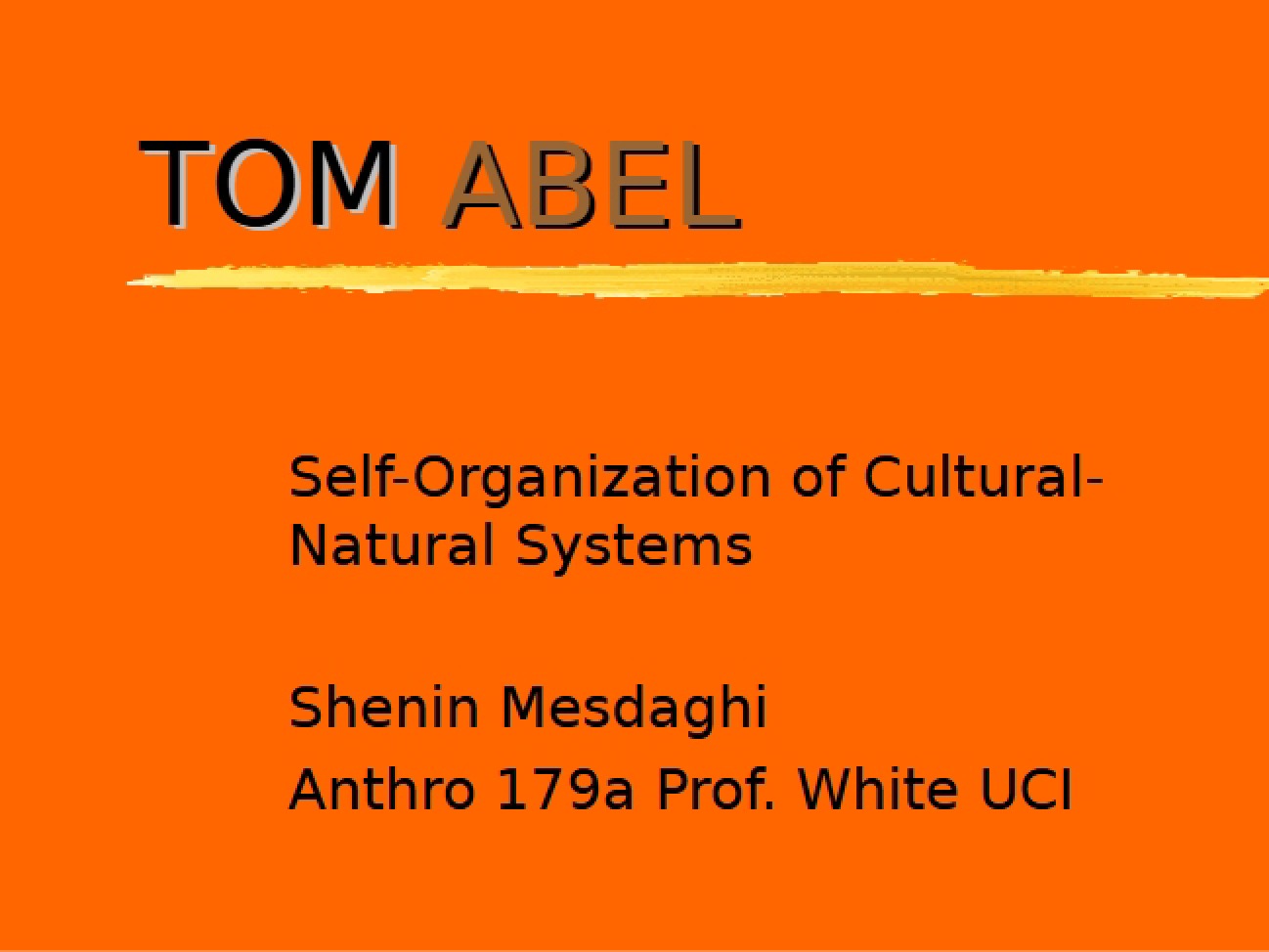 Natural-Cultural Systems: Self-Organization
