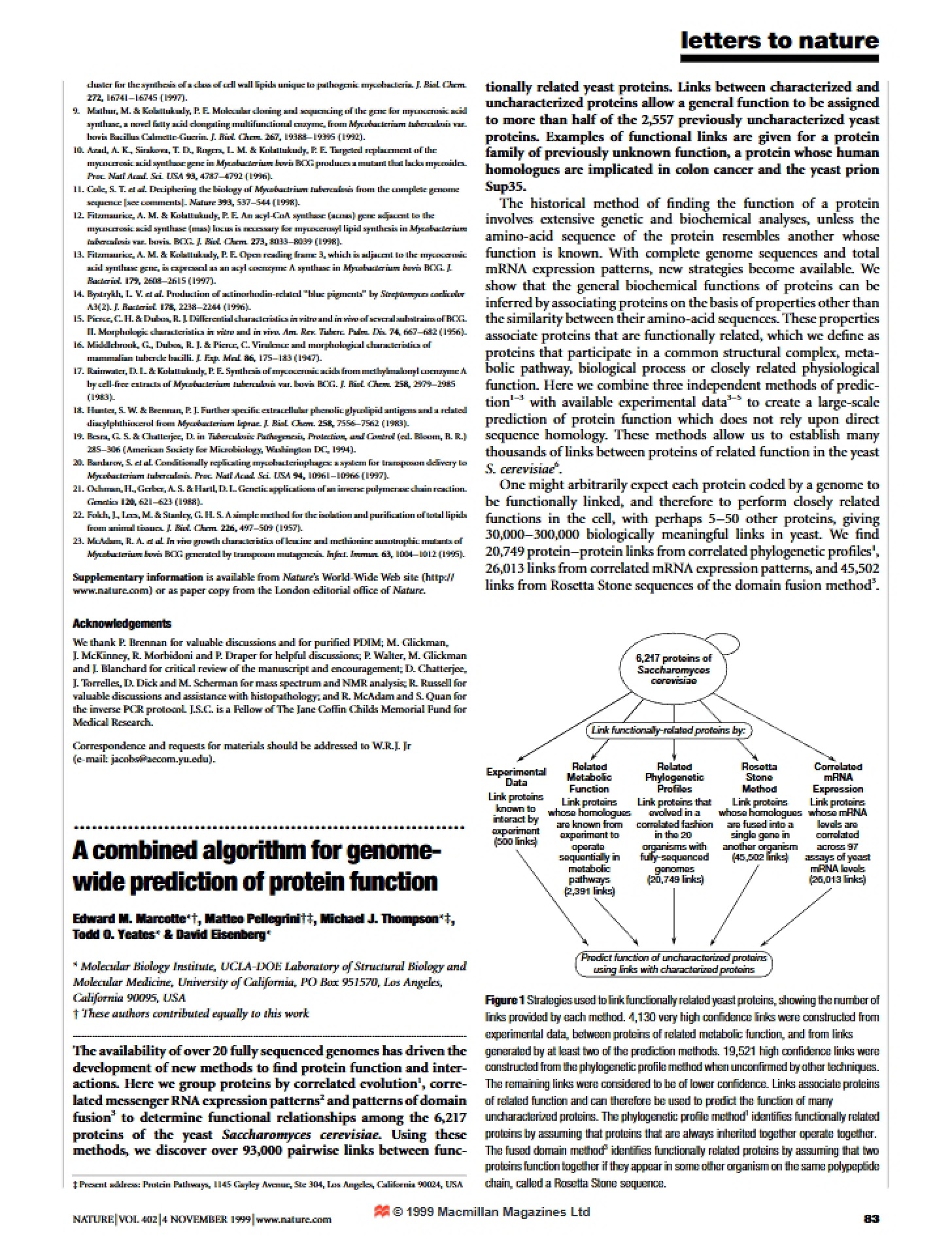 Protein Function Prediction A Combined Genome-wide Algorithm