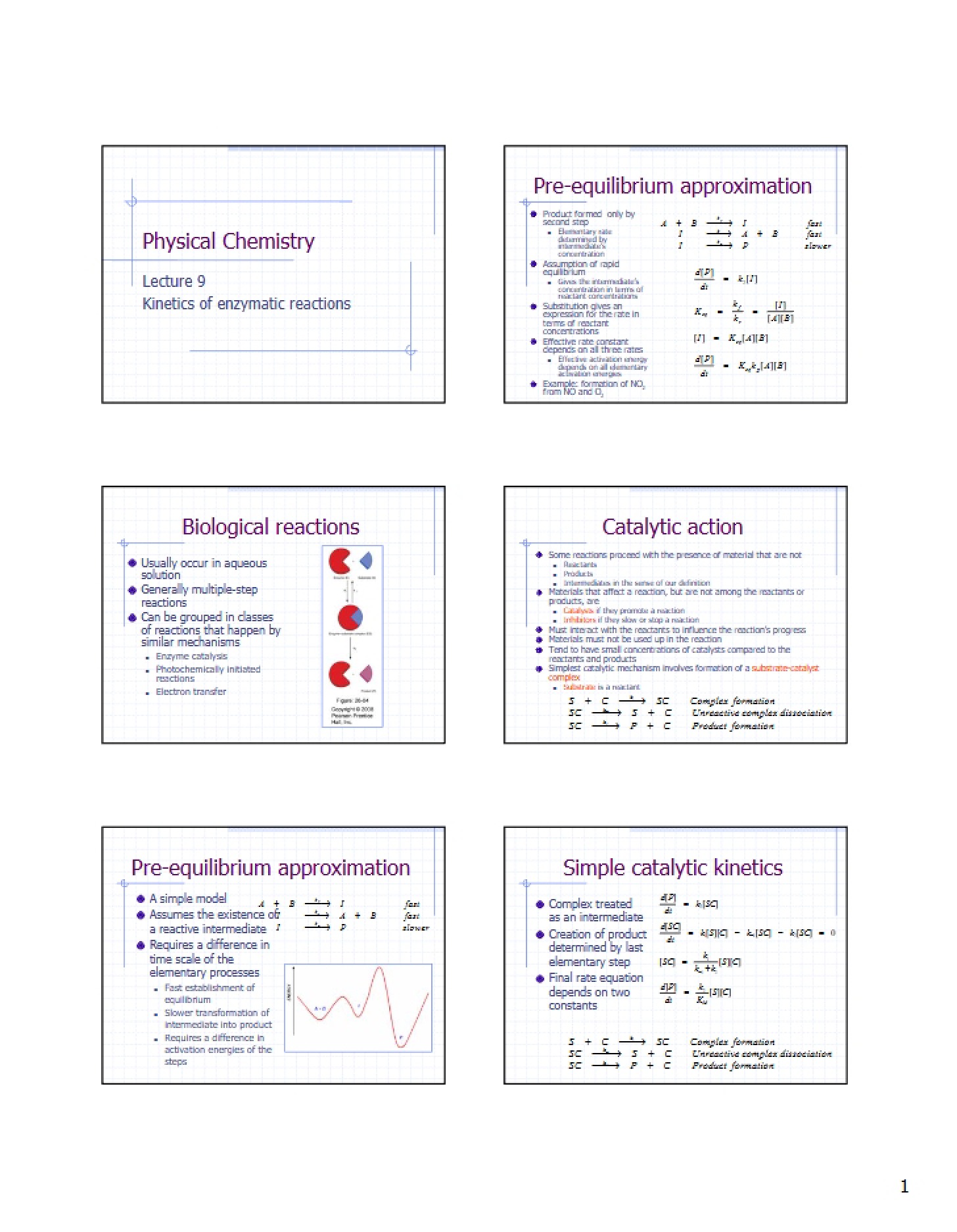 Enzymatic Reaction Kinetics