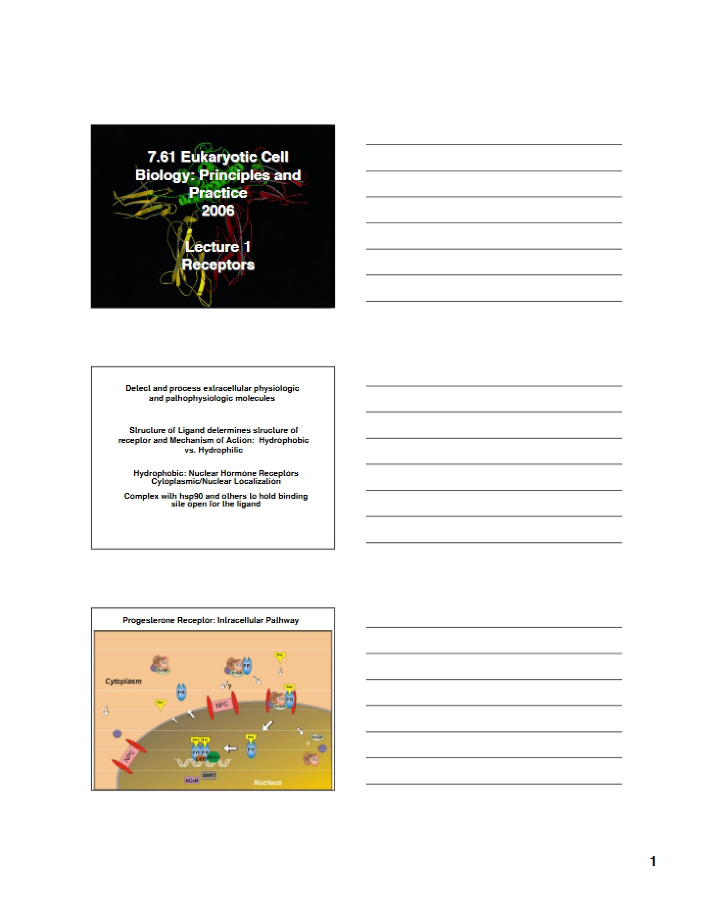 Biology of Eukaryotic Cells