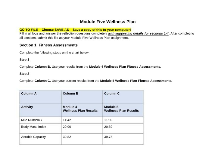 Wellness Plan - Module Five
