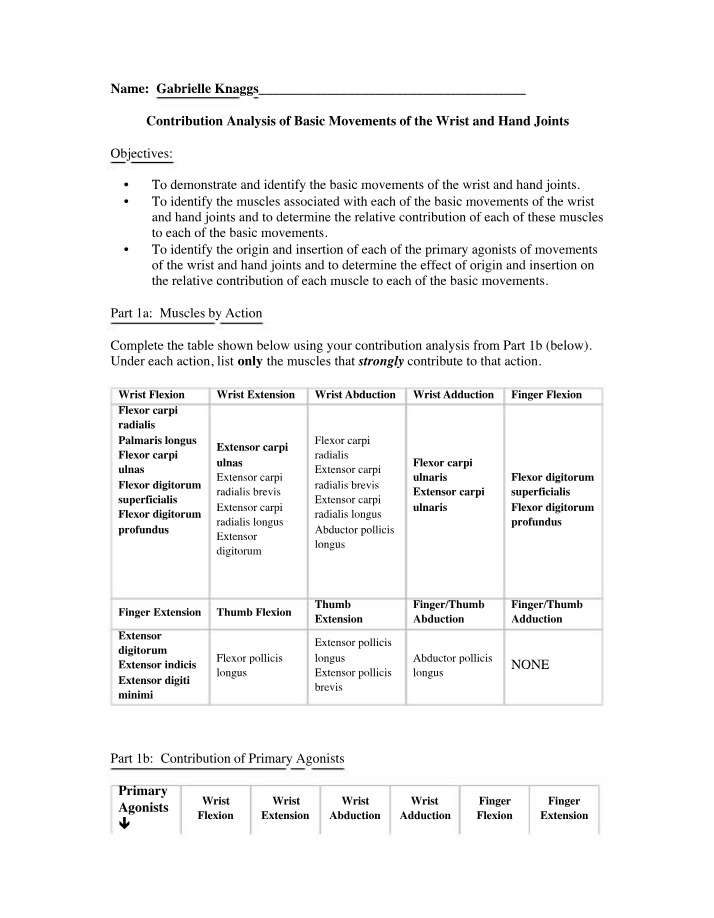 Wrist and Hand Joint Movements - Contribution Analysis