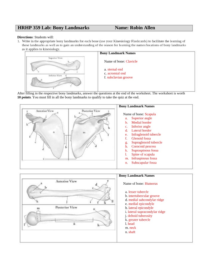 Bony Landmarks - HRHP 359 Lab