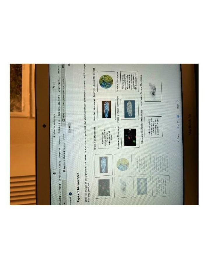 Interactive Activity - Types of Microscopes