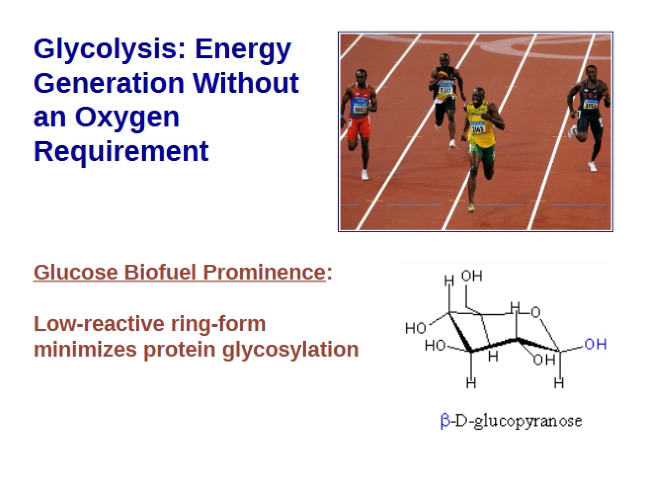 Glycolysis