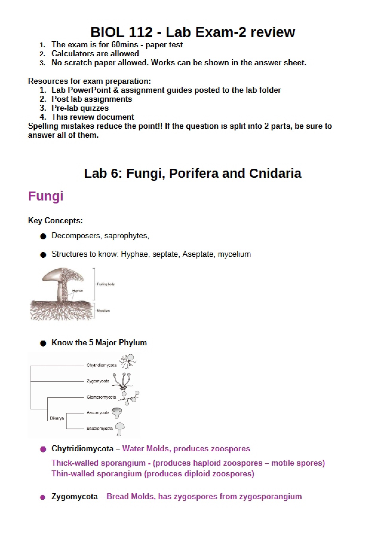Review for the Second Lab Exam in Introductory Biology II