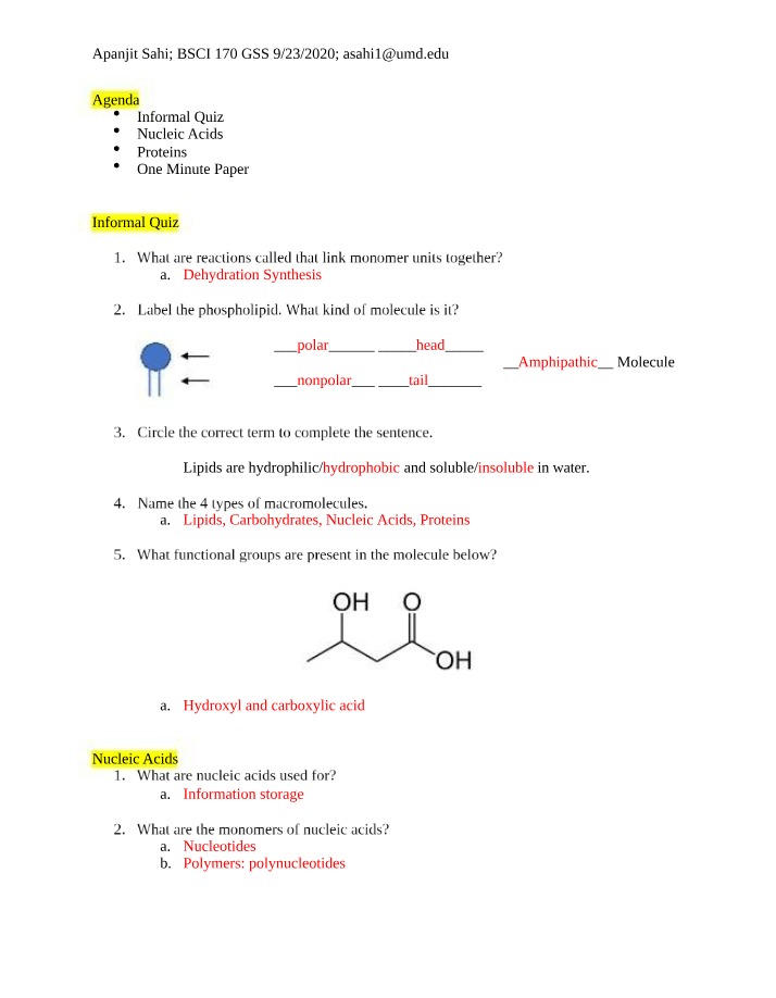 Quiz on Proteins and Nucleic Acids