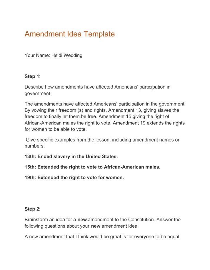 Template for Amendment Ideas