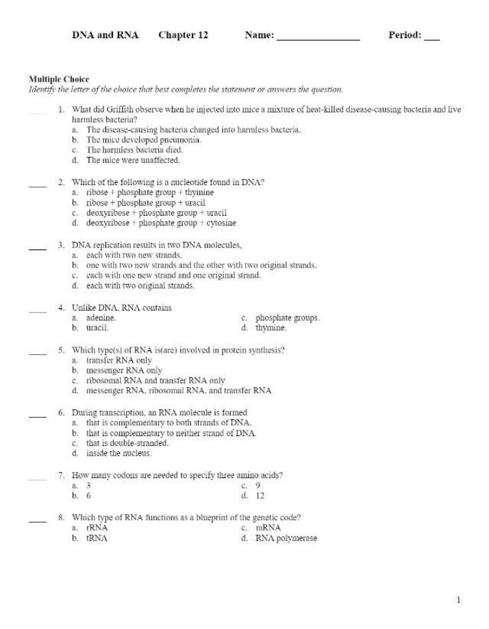 Chapter 12 Quiz - DNA and RNA
