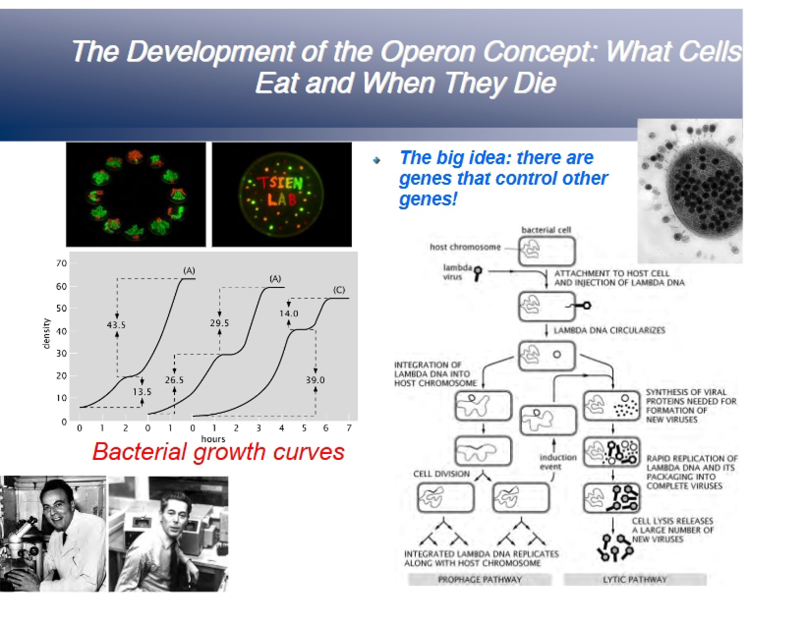 Operon Concept Development