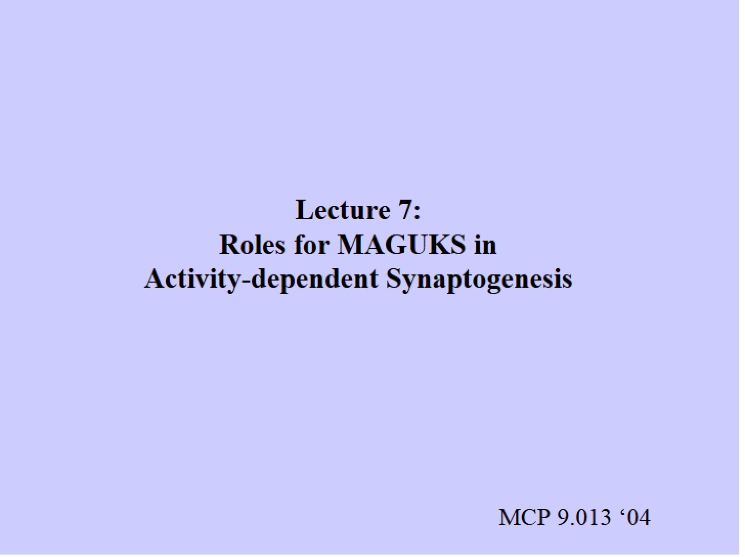 Activity-Dependent Synaptogenesis MAGUKS Roles