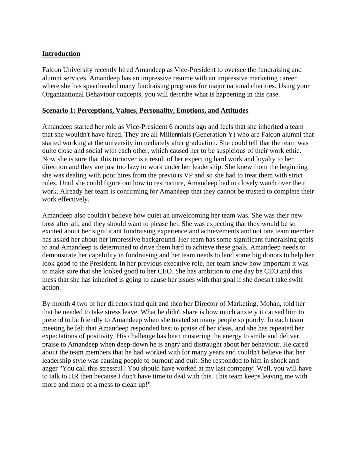 Organizational Behaviour Case Study on Vice-President Challenges
