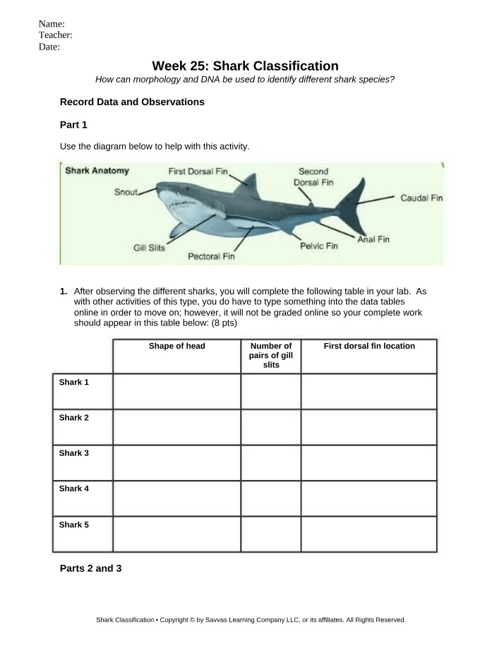 Shark Classification - Morphology and DNA Lab