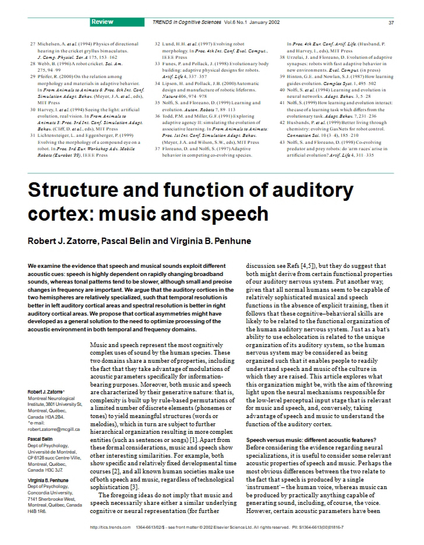 Auditory Cortex Functional and Structural Overview