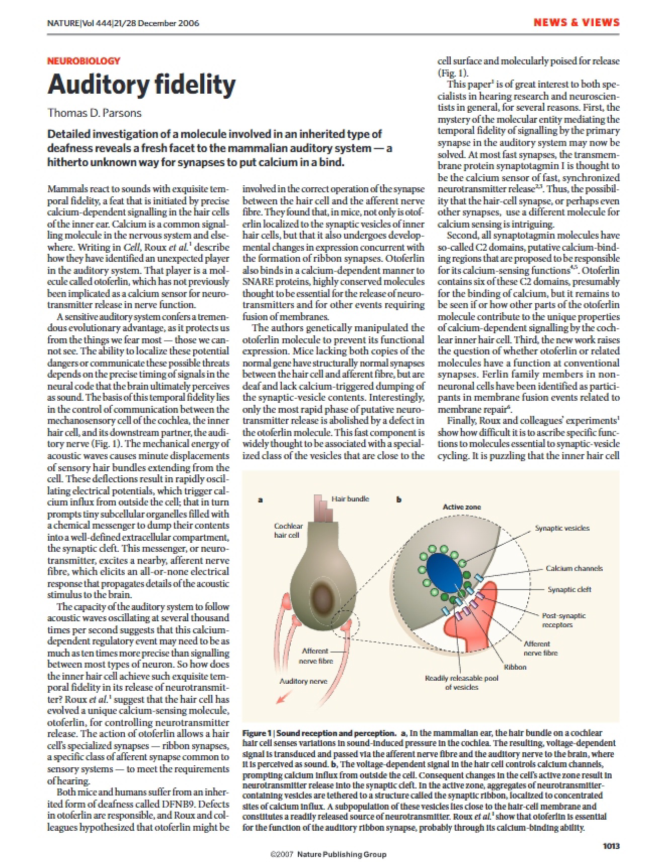 Auditory System Fidelity