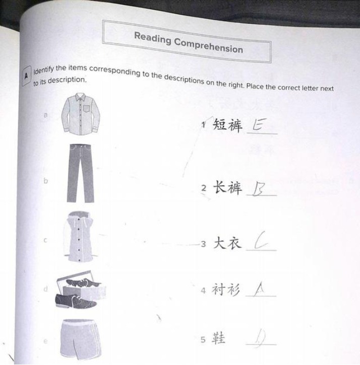 Grammar Exercises and Reading Comprehension