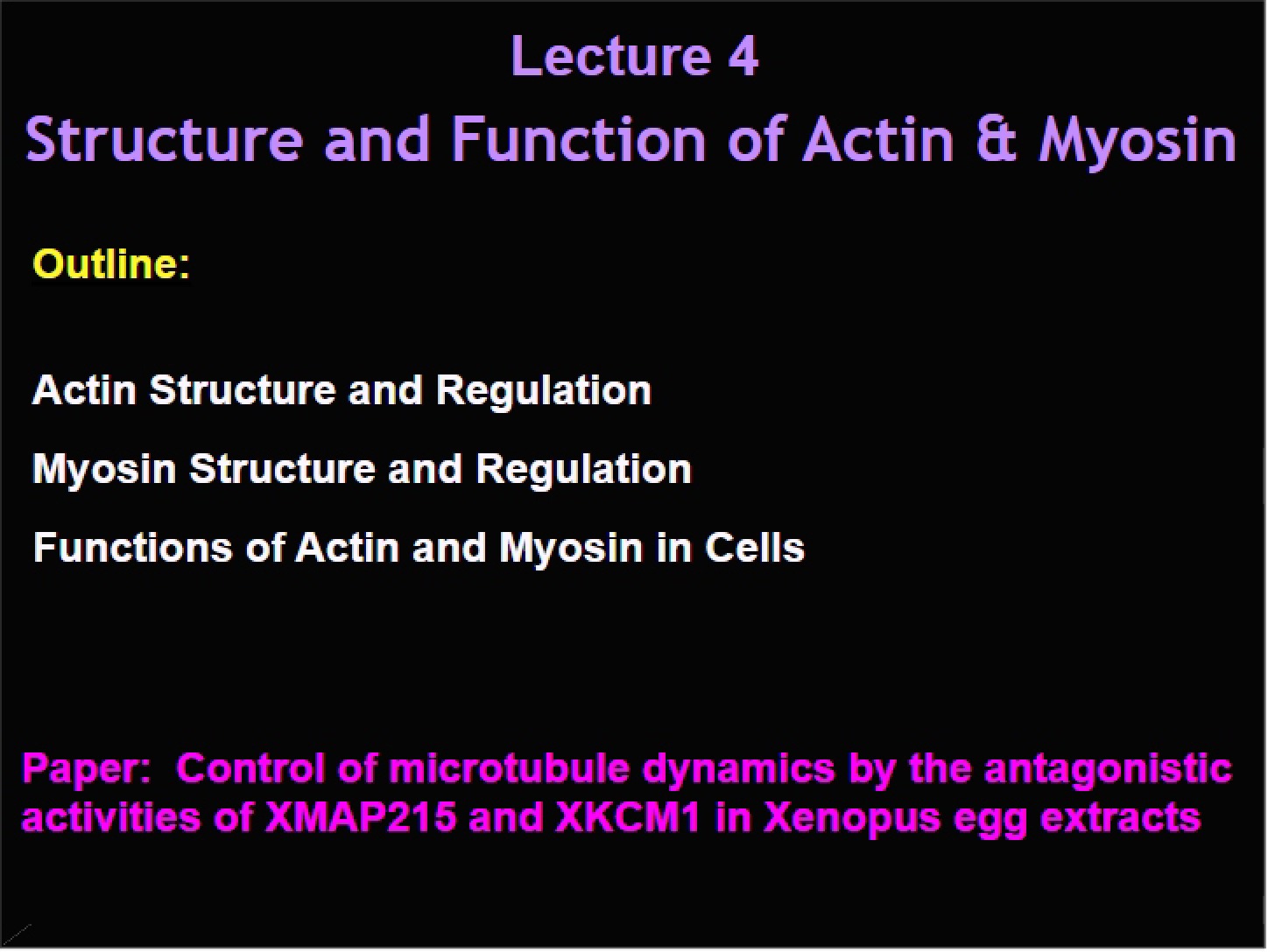 Actin and Myosin Function and Structure
