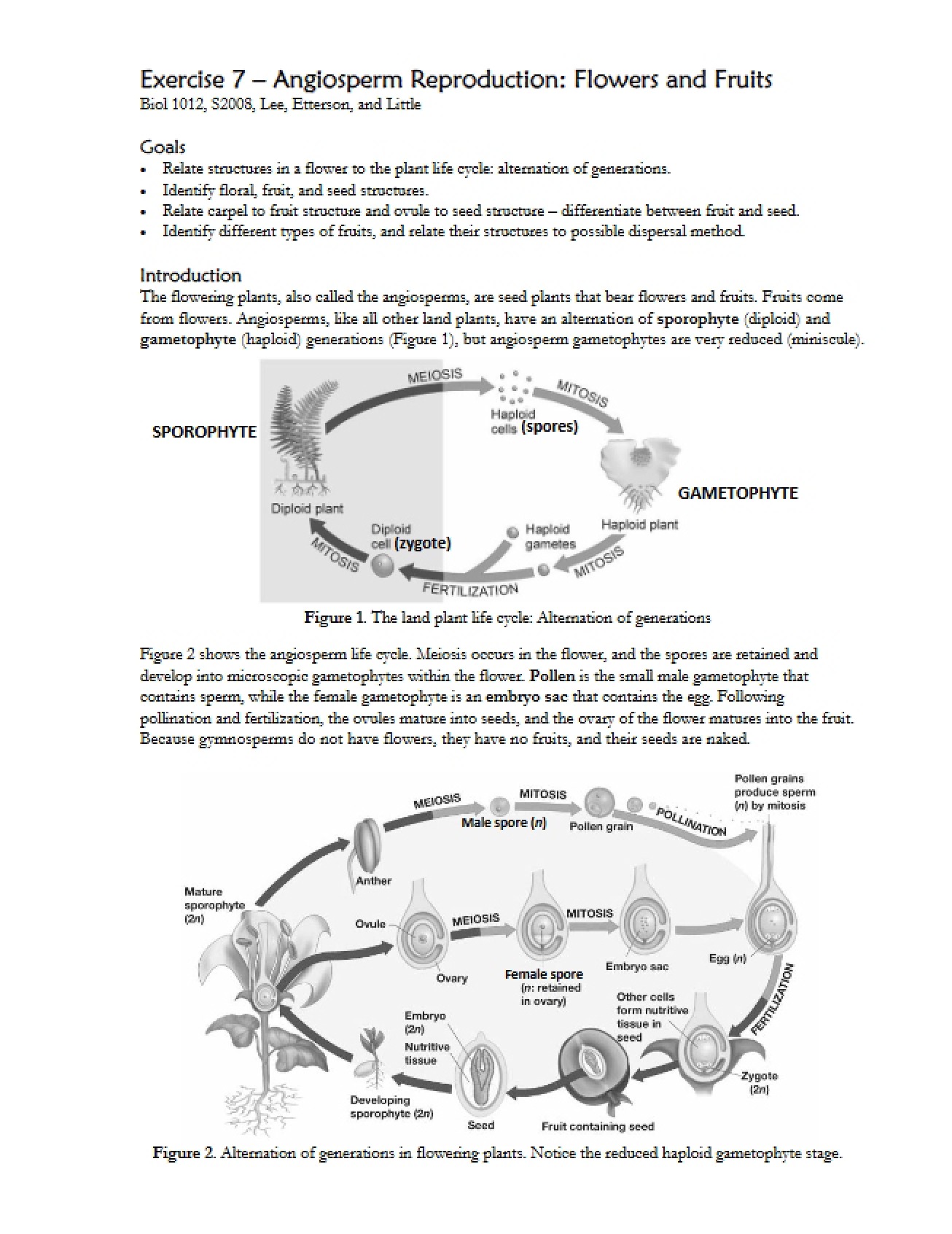 Exercise 7 Biology 1012