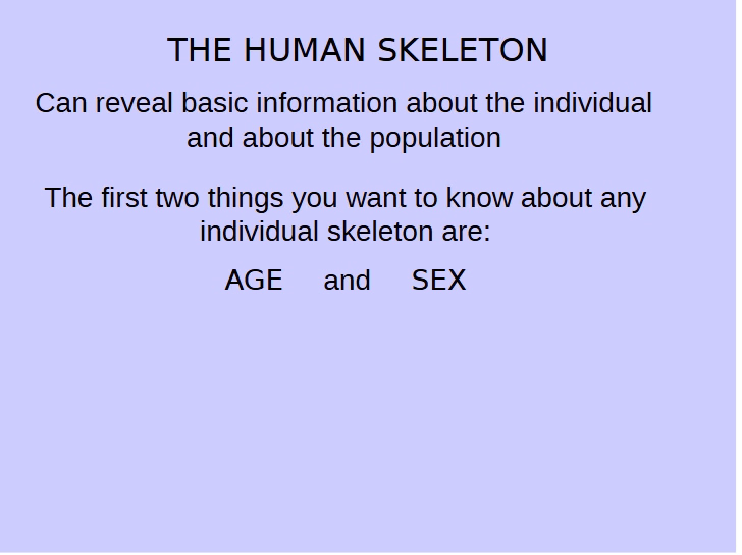 2012 Human Skeleton
