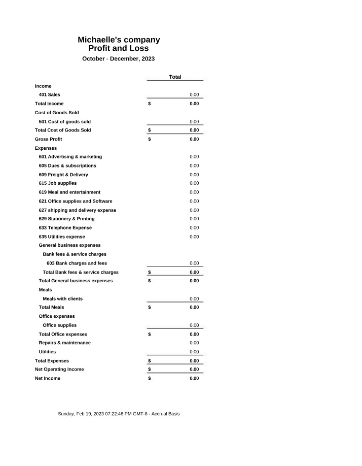 Michaelle's Company Profit and Loss Statement