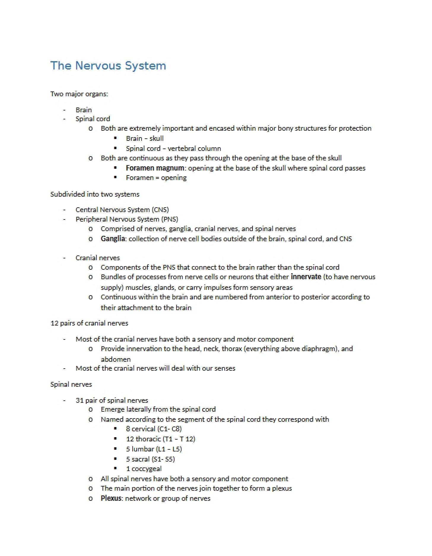 Nervous System Overview