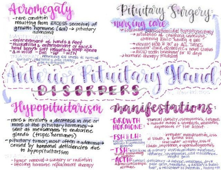 Notes on Anterior Pituitary Disorders