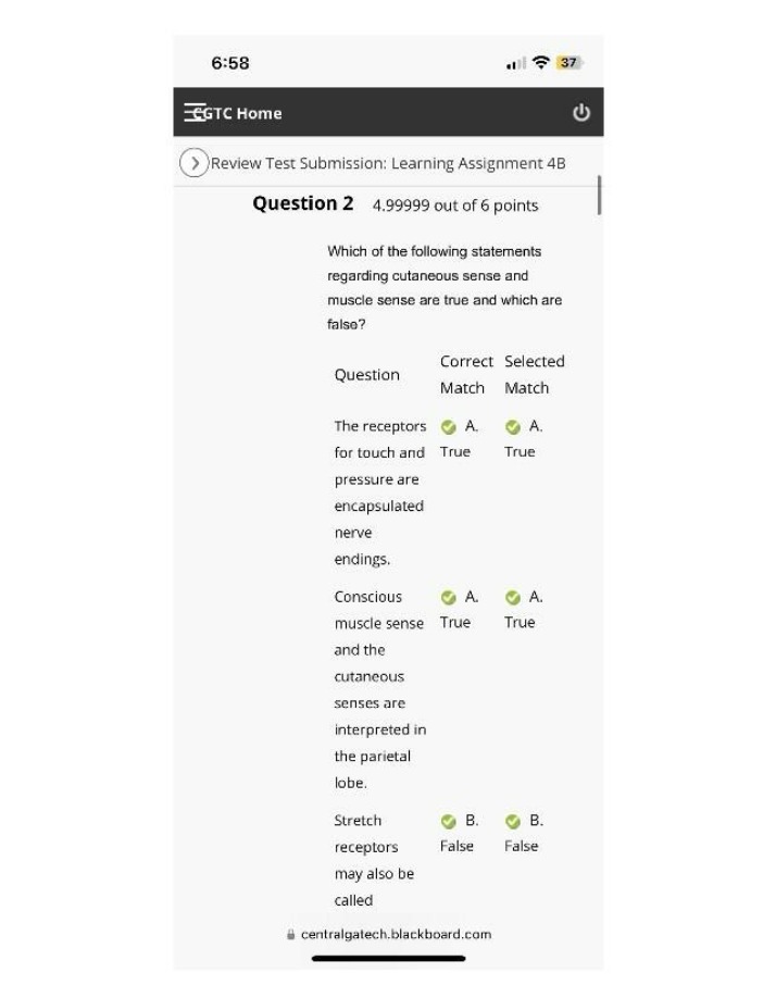 Cutaneous and Muscle Senses - True-False Review