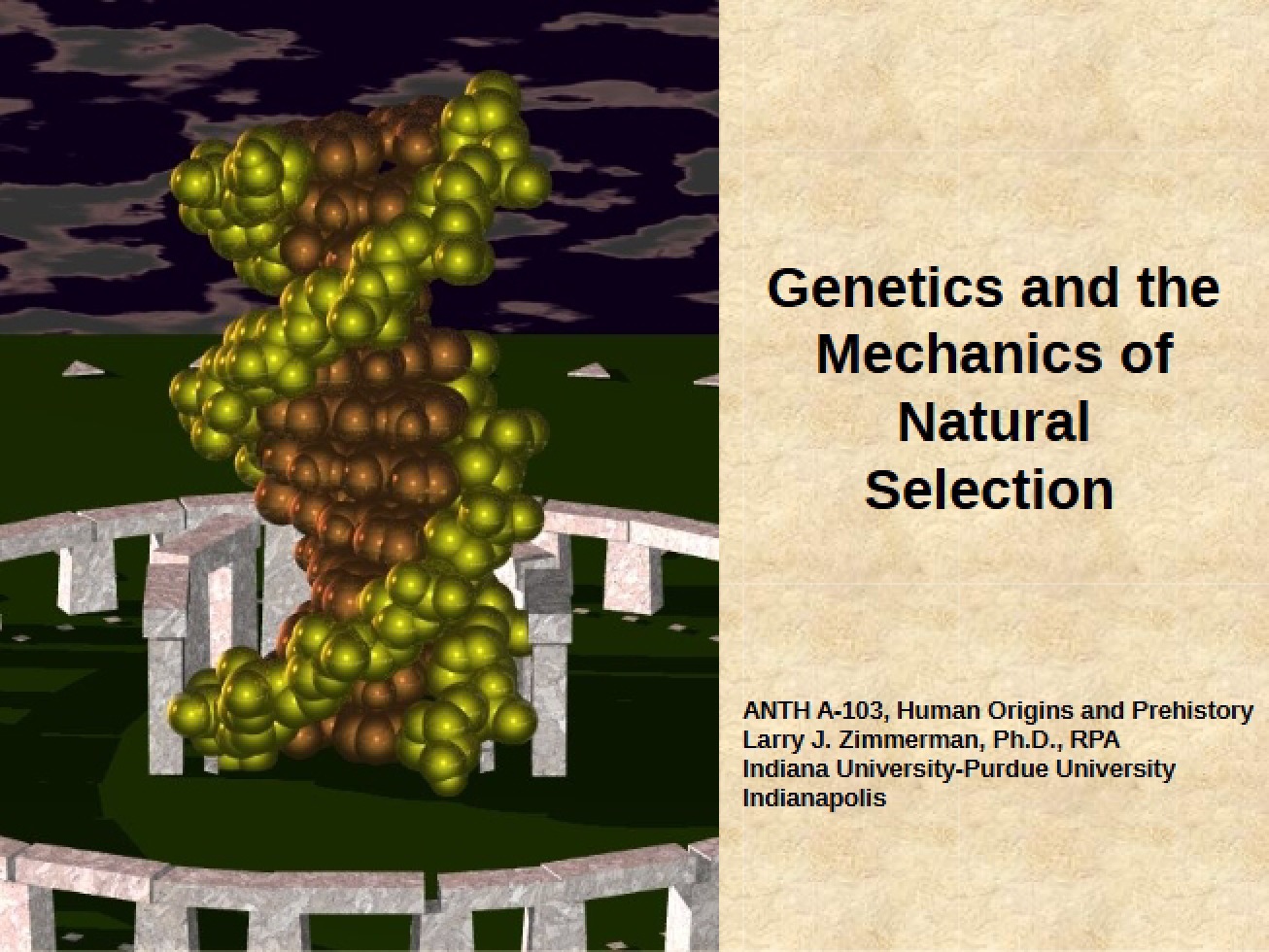 Natural Selection Mechanics and Genetics