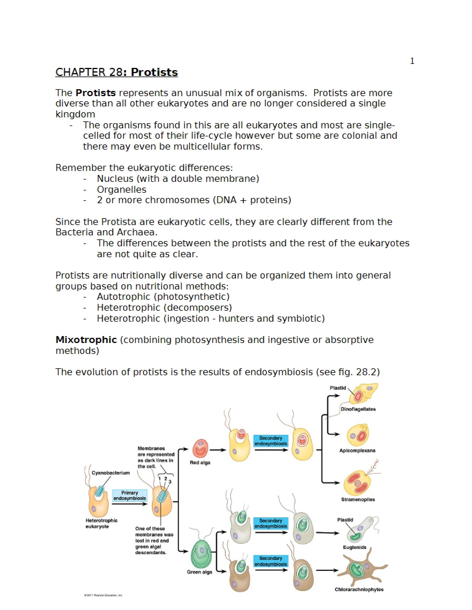 Protists (Chapter 28)