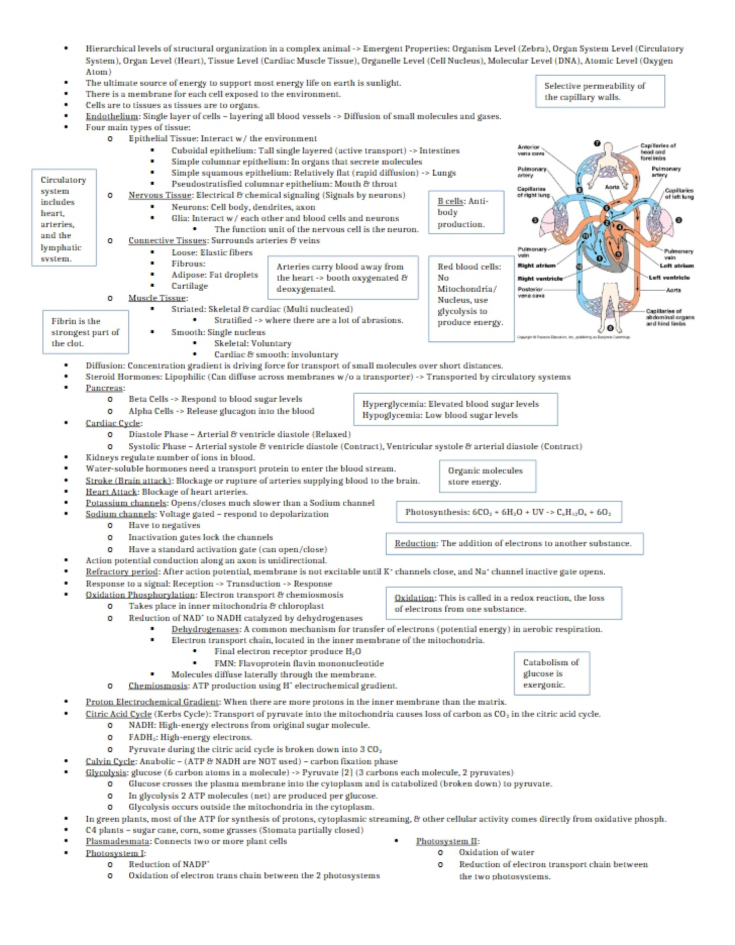 Personal Knowledge Synthesis Biology