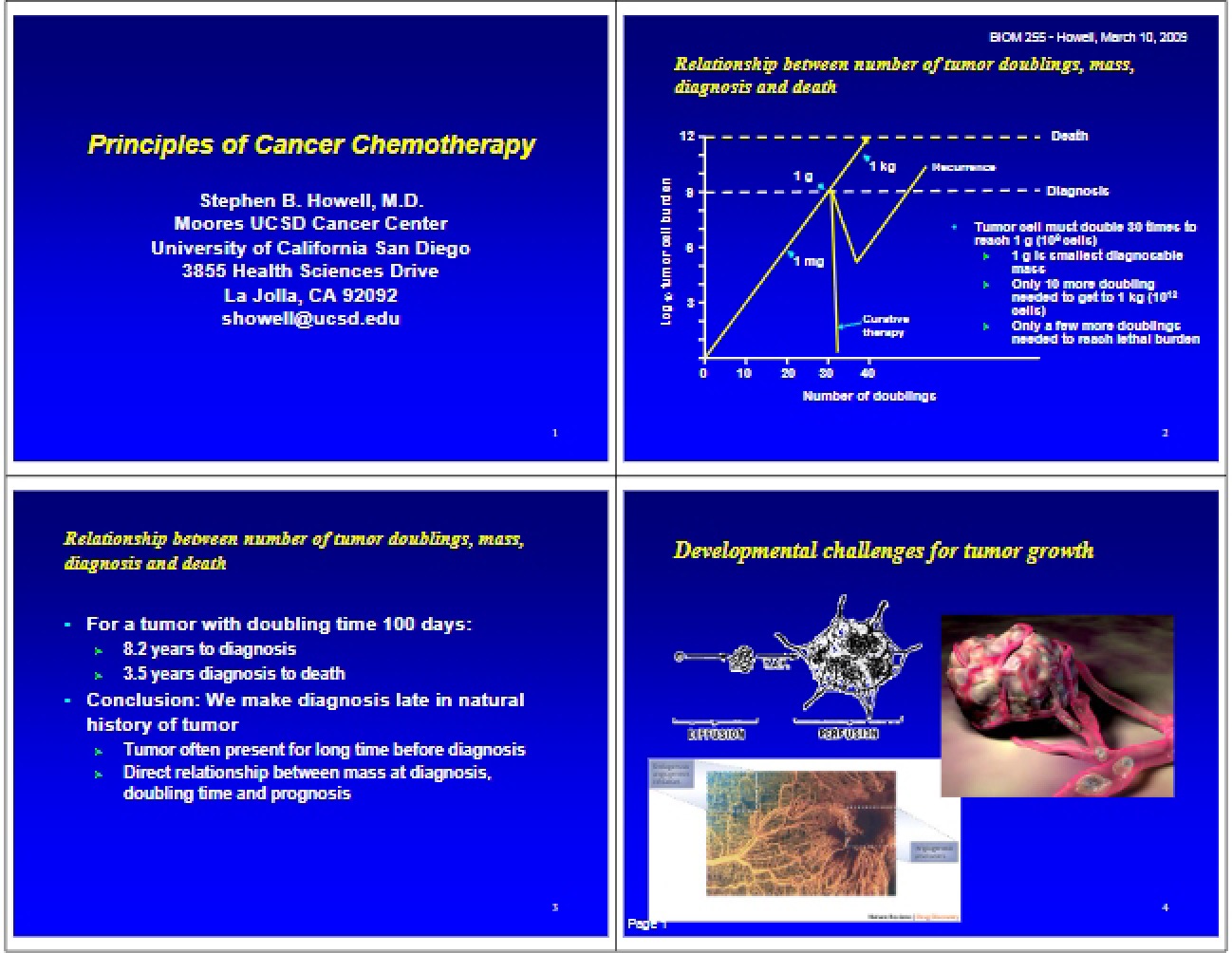 Chemotherapy Principles for Cancer Treatment