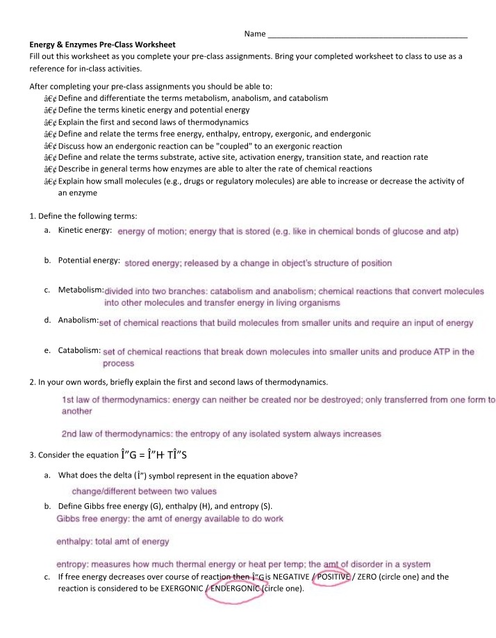 Pre-Class Worksheet - Energy & Enzymes