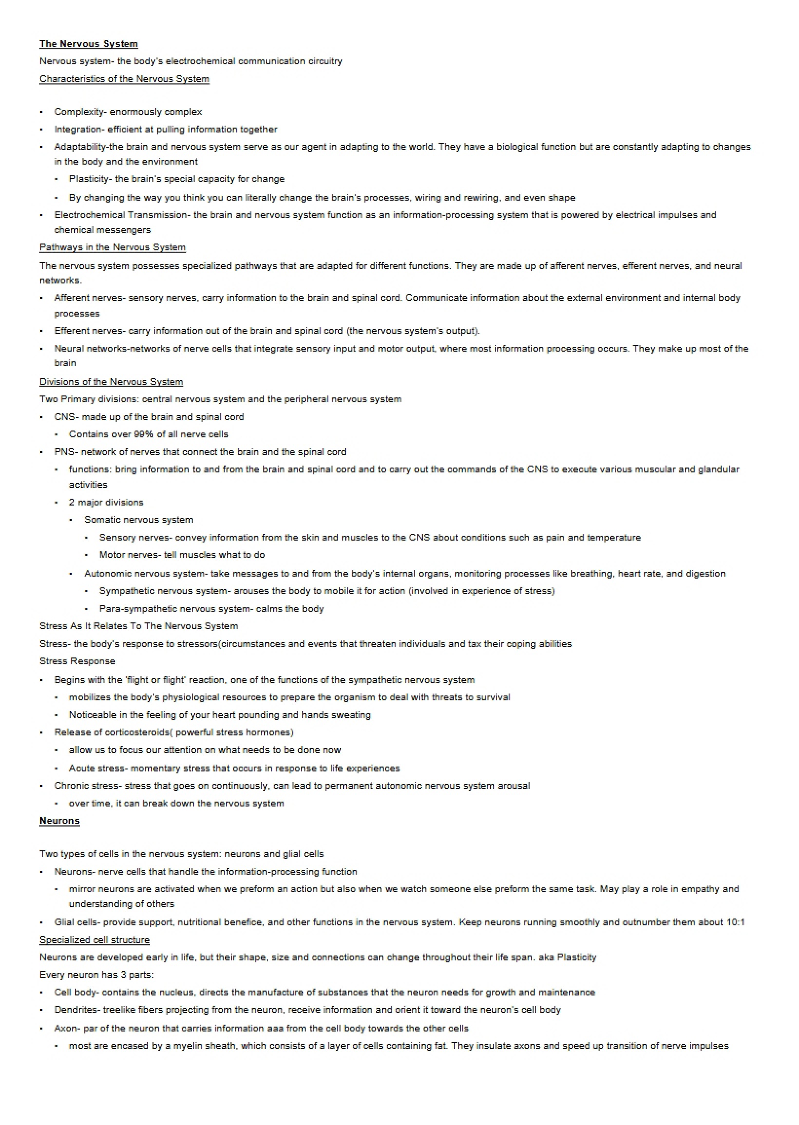 Nervous System Overview