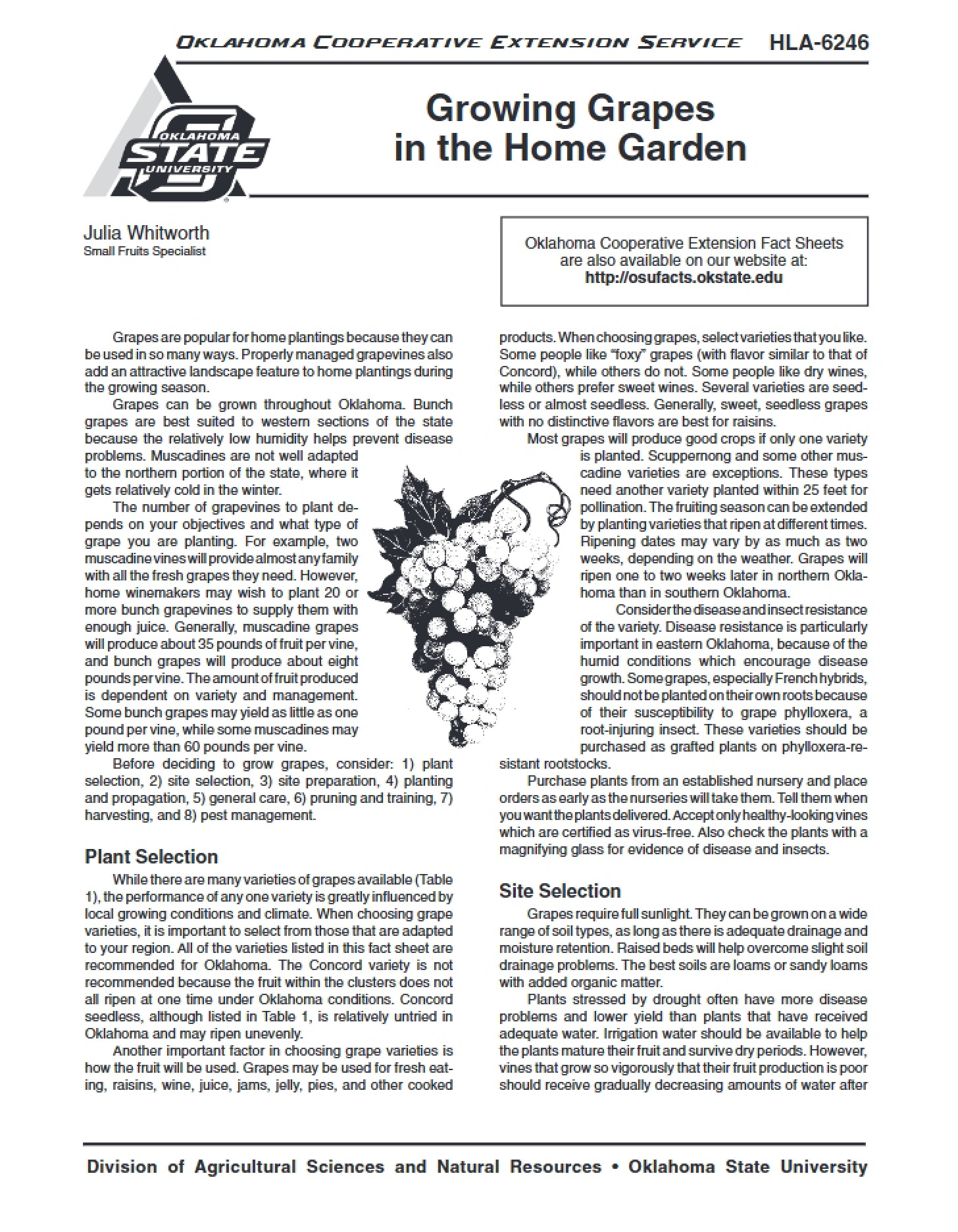 Home Garden Grape Growing