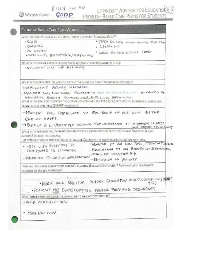 Worksheet - Problem-Based Care Plan