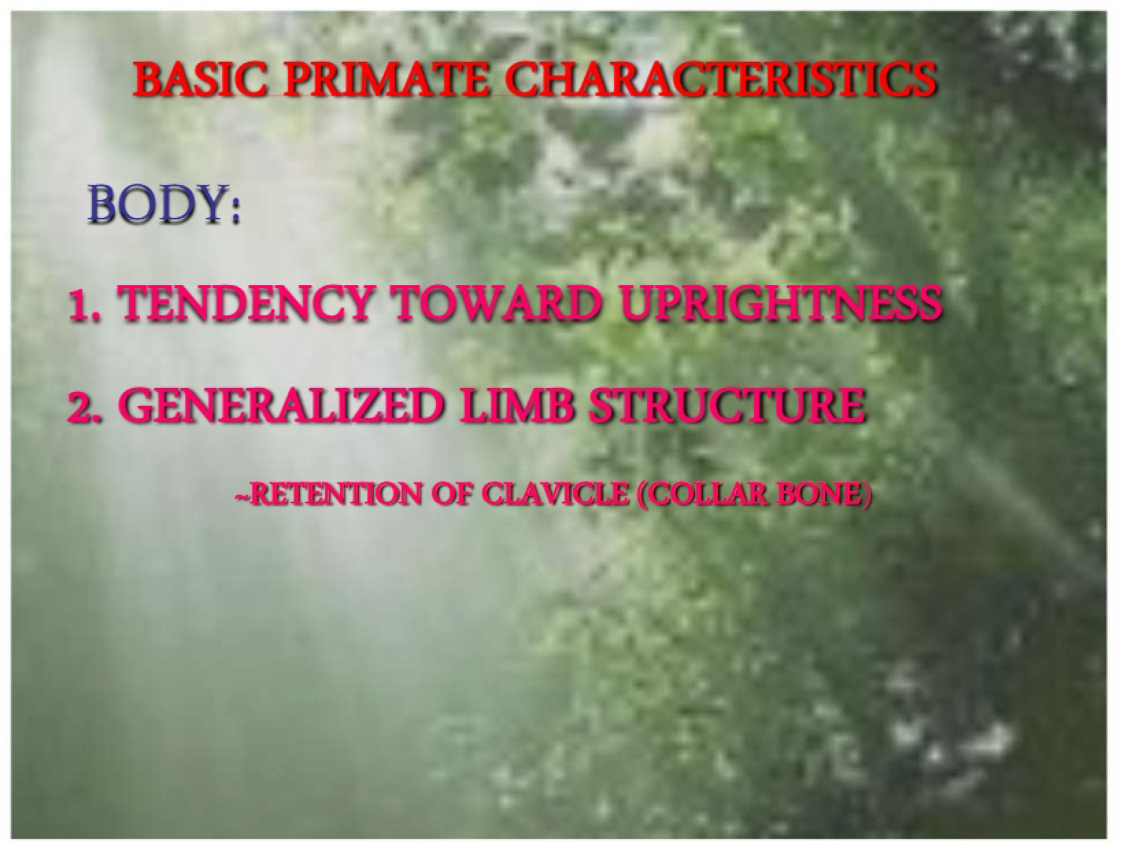 Characteristics of Primates 1