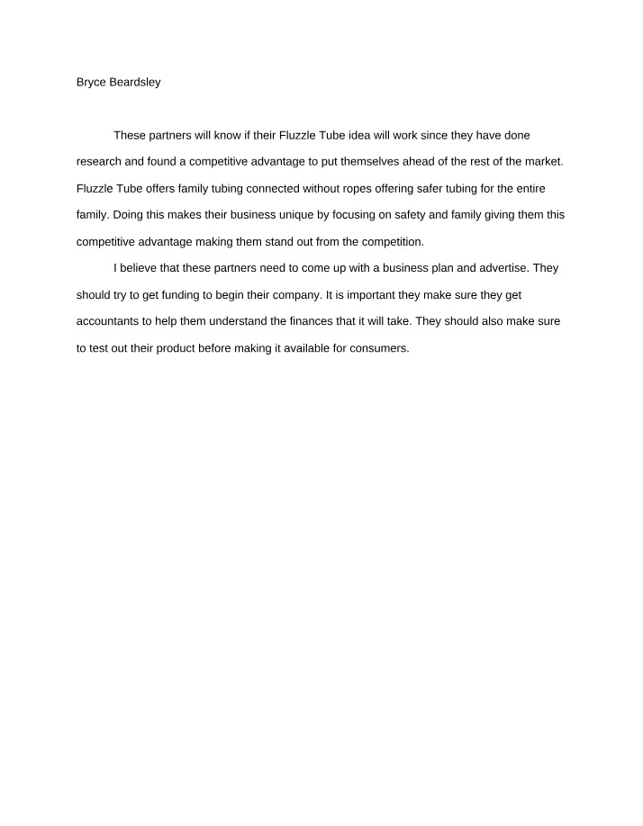 Fluzzle Tube Business Analysis - Bryce Beardsley
