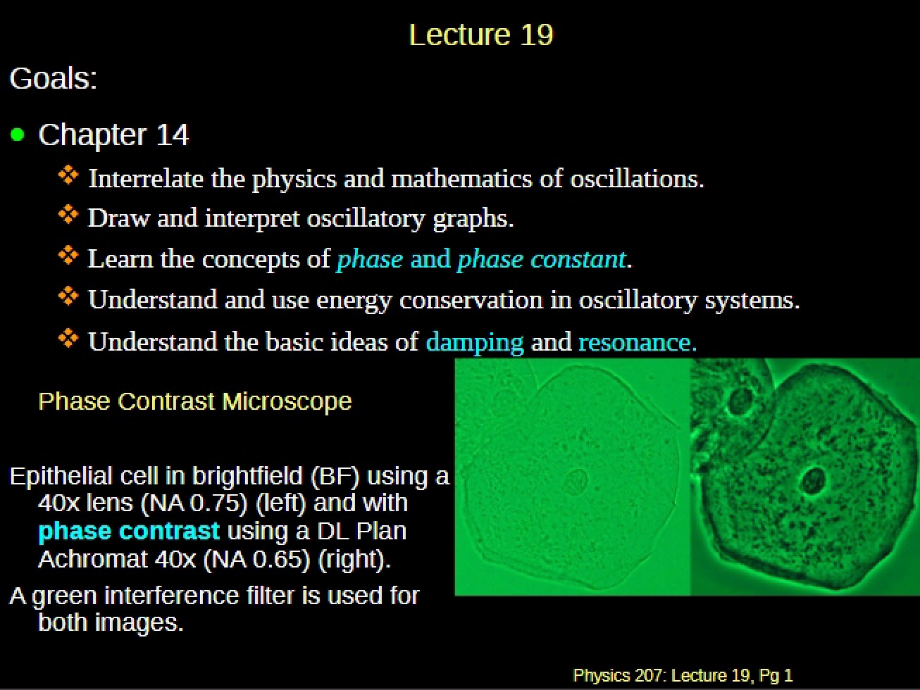 Physics 207 Session Notes