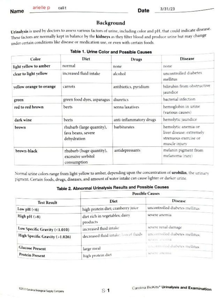 Student Guide to Urinalysis and Results Interpretation