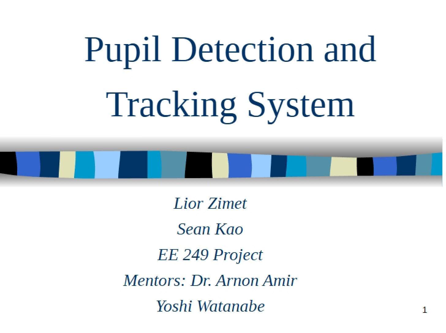 System for Tracking and Detecting Pupils