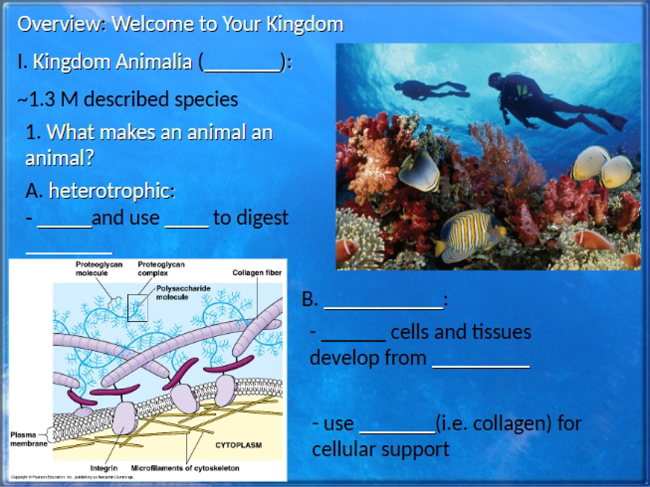Animal Diversity and Development - Ch 32-47