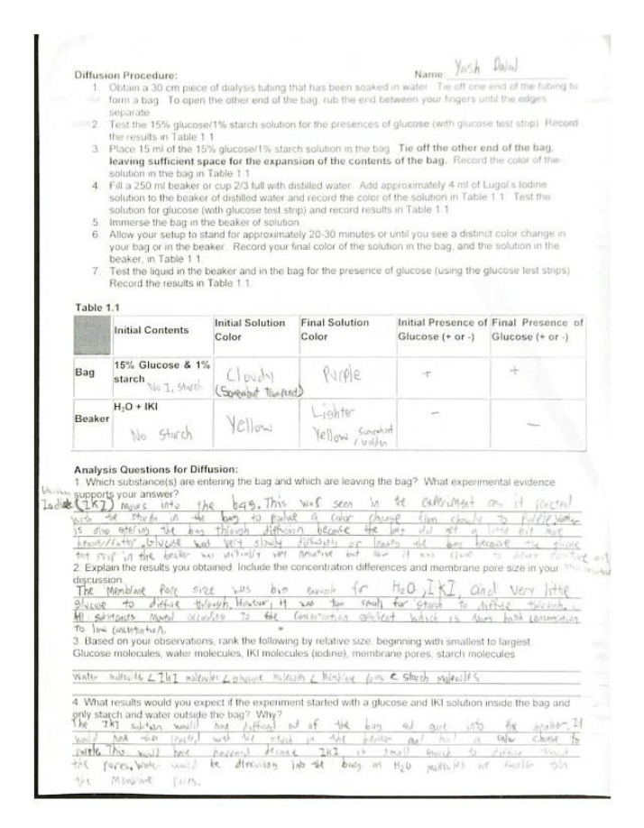Lab Report - Osmosis and Water Potential