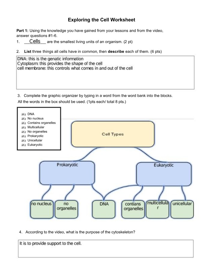 Worksheet on the Cell