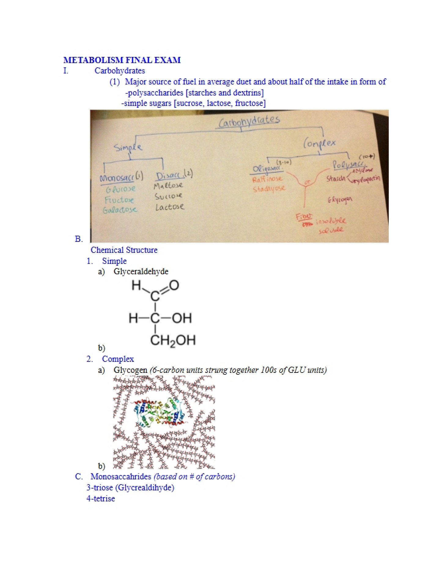 Biological Energy Transformation