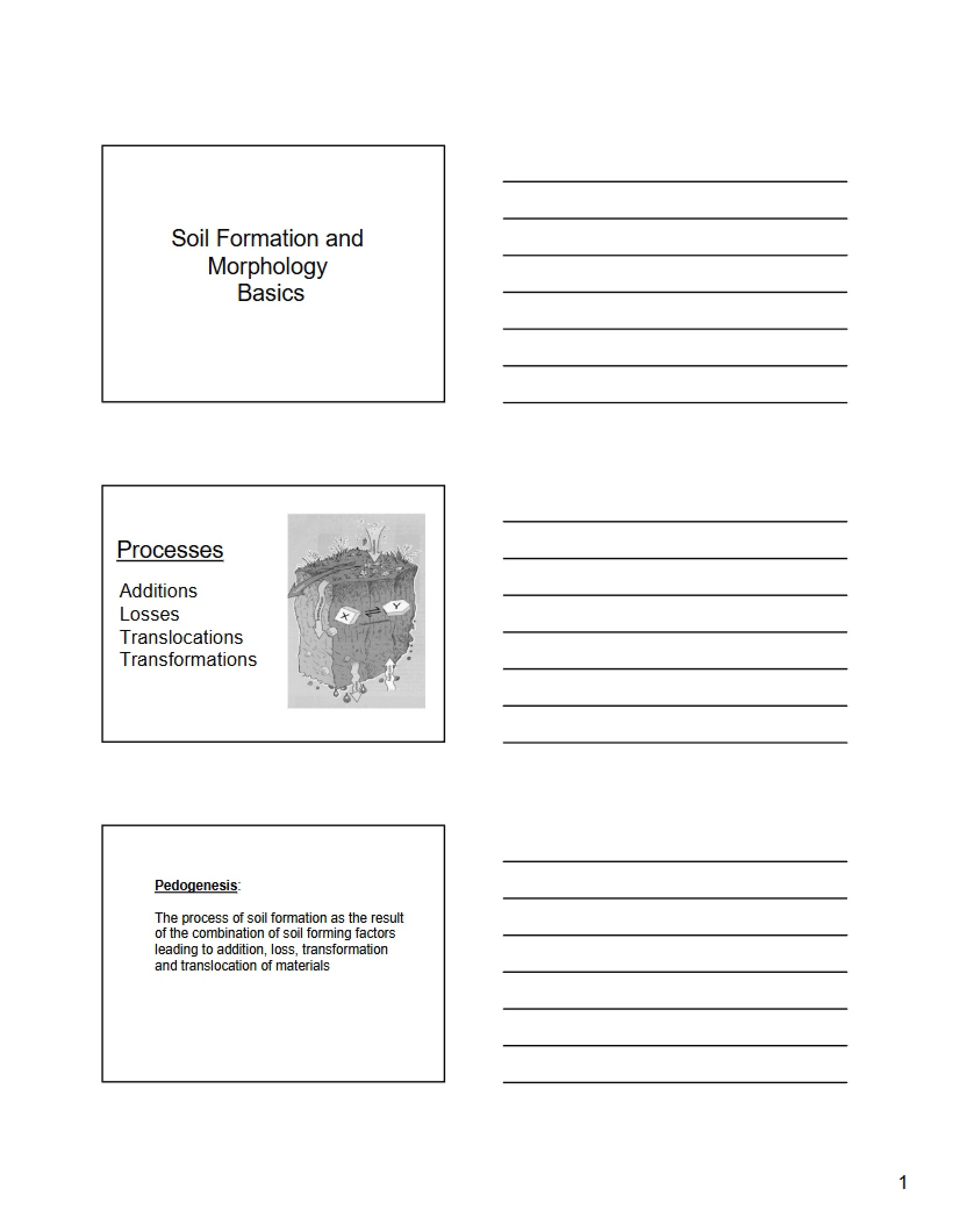 Basics of Soil Formation and Morphology