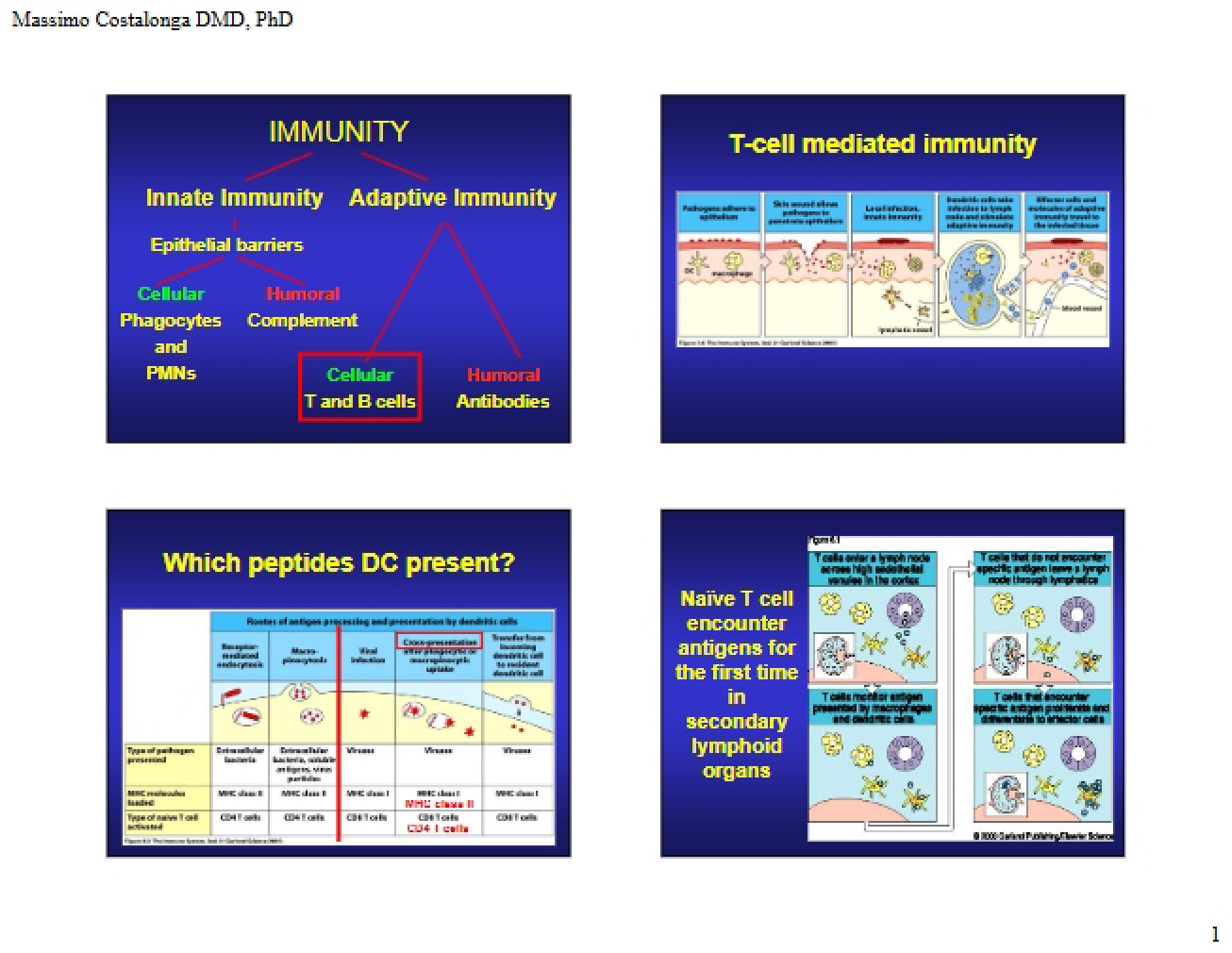 Immunity Concepts