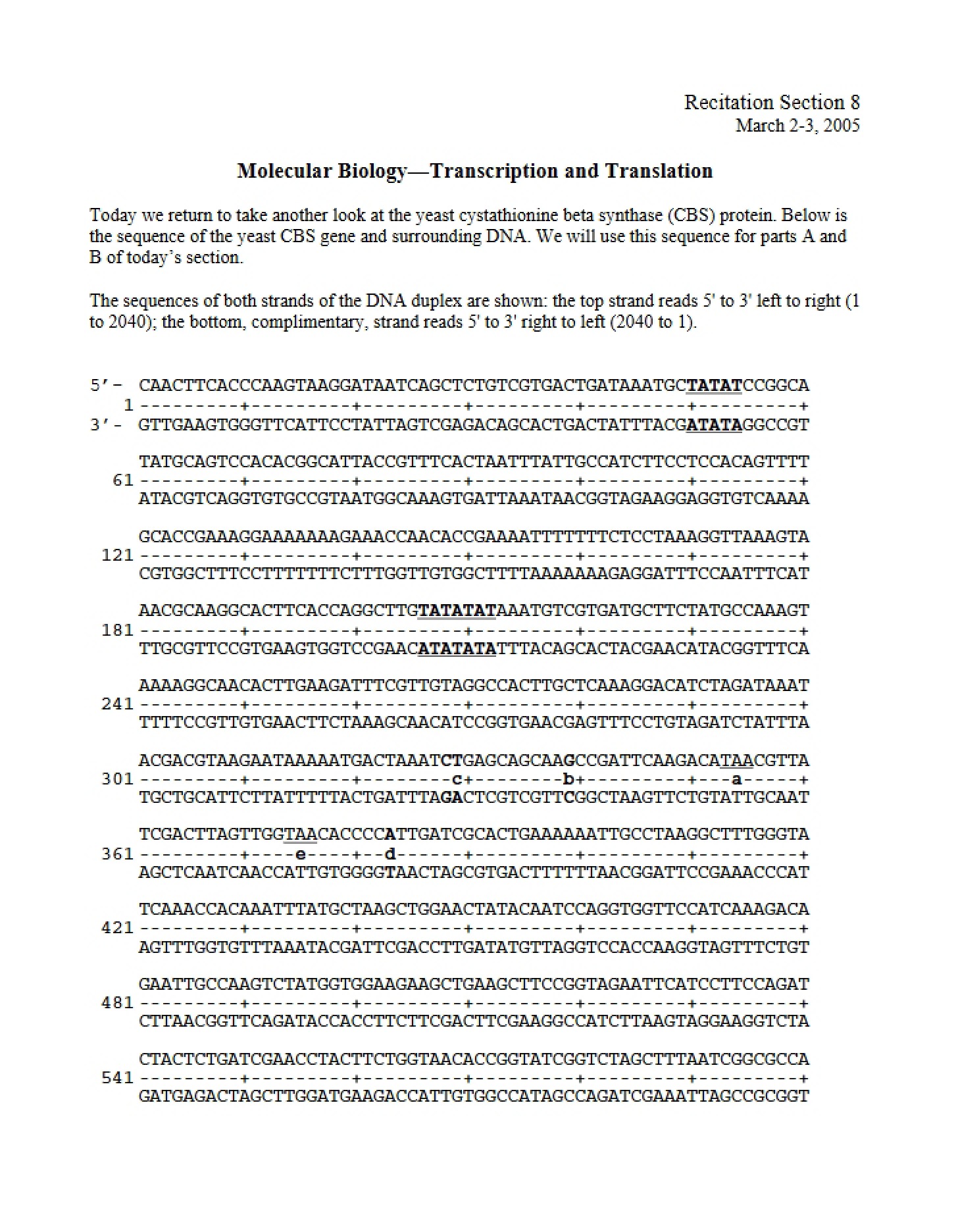 Translation and Transcription