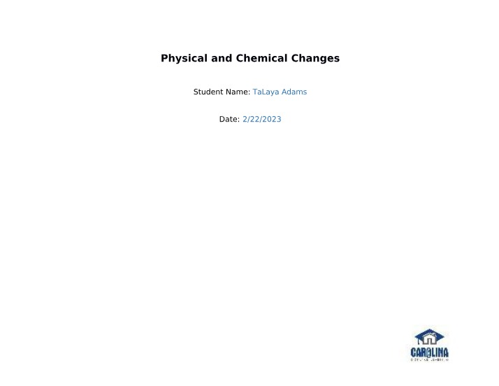 Lab Report - Physical and Chemical Changes