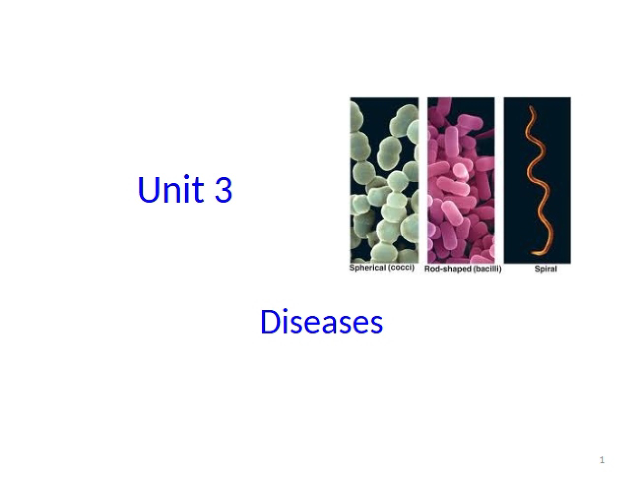 Diseases Unit 3 (Mar 27, 2015)