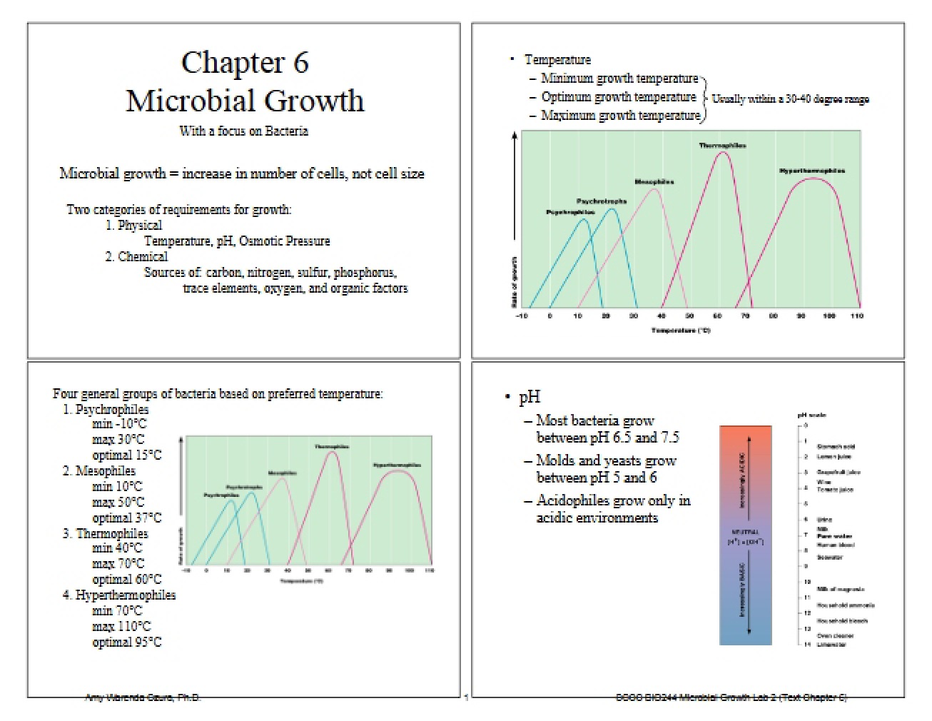 Course Notes on General Microbiology